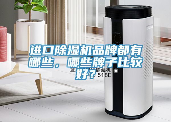 進(jìn)口除濕機(jī)品牌都有哪些，哪些牌子比較好？