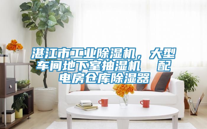 湛江市工業(yè)除濕機(jī)，大型車間地下室抽濕機(jī)  配電房倉庫除濕器