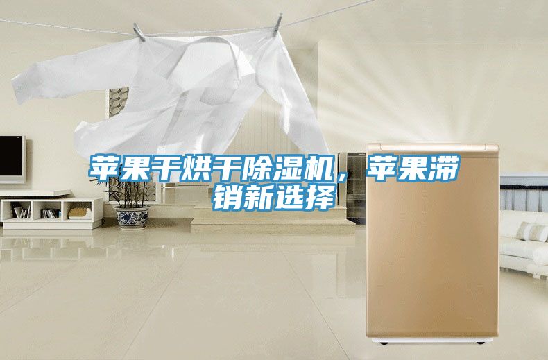 蘋果干烘干除濕機(jī)，蘋果滯銷新選擇
