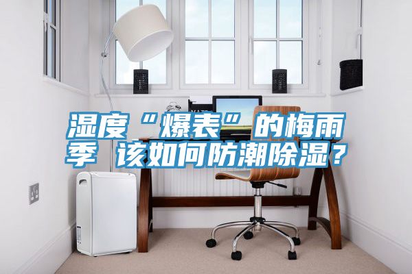 濕度“爆表”的梅雨季 該如何防潮除濕？