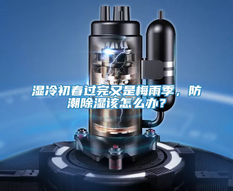 濕冷初春過完又是梅雨季，防潮除濕該怎么辦？