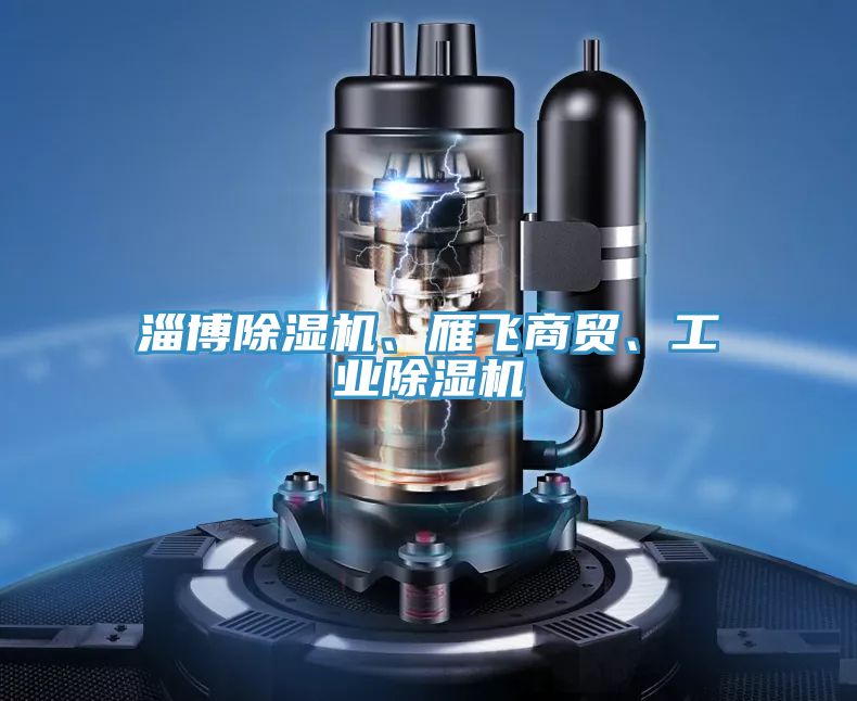 淄博除濕機、雁飛商貿(mào)、工業(yè)除濕機