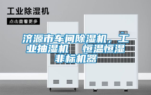 濟源市車間除濕機，工業(yè)抽濕機  恒溫恒濕非標機器