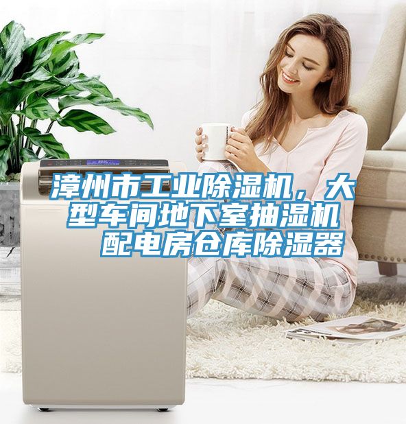漳州市工業(yè)除濕機(jī)，大型車間地下室抽濕機(jī)  配電房倉庫除濕器