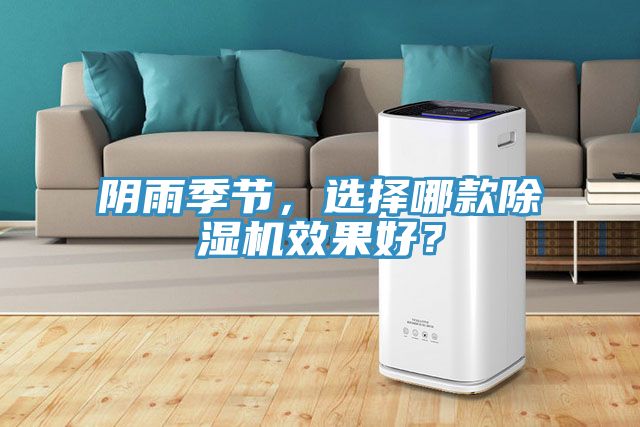 陰雨季節(jié)，選擇哪款除濕機(jī)效果好？
