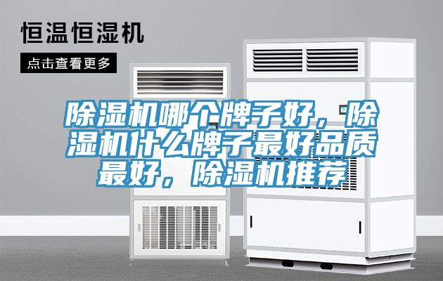 除濕機(jī)哪個(gè)牌子好，除濕機(jī)什么牌子最好品質(zhì)最好，除濕機(jī)推薦
