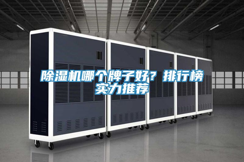 除濕機(jī)哪個(gè)牌子好？排行榜實(shí)力推薦