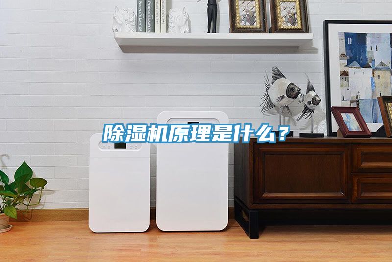 除濕機(jī)原理是什么？