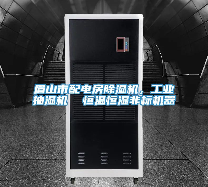 眉山市配電房除濕機，工業(yè)抽濕機  恒溫恒濕非標機器