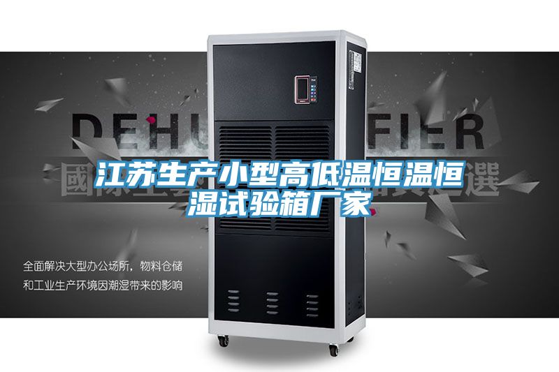 江蘇生產(chǎn)小型高低溫恒溫恒濕試驗(yàn)箱廠(chǎng)家
