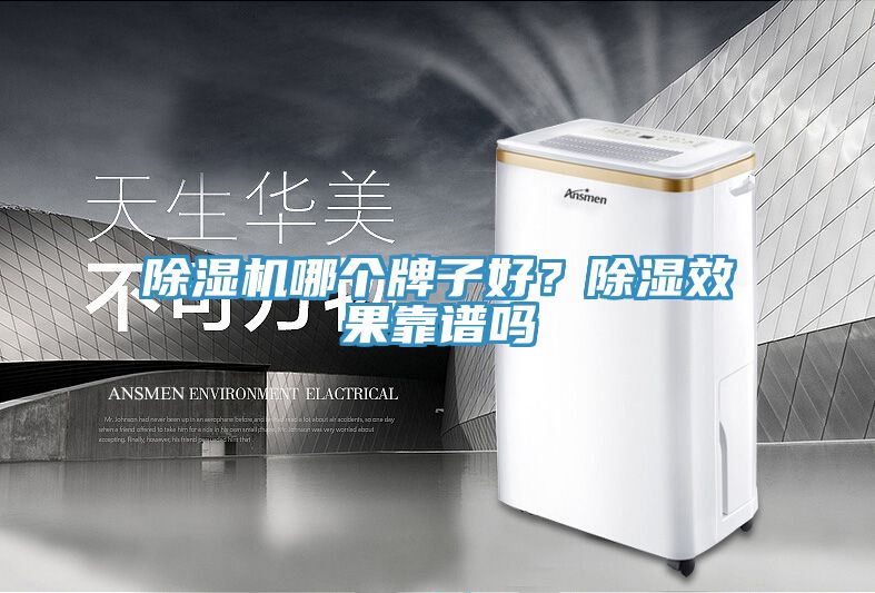 除濕機(jī)哪個(gè)牌子好？除濕效果靠譜嗎