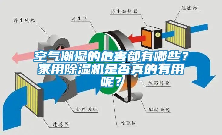 空氣潮濕的危害都有哪些？家用除濕機是否真的有用呢？