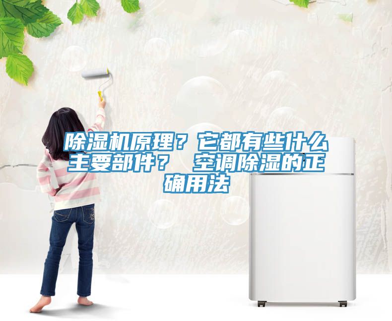 除濕機(jī)原理？它都有些什么主要部件？ 空調(diào)除濕的正確用法