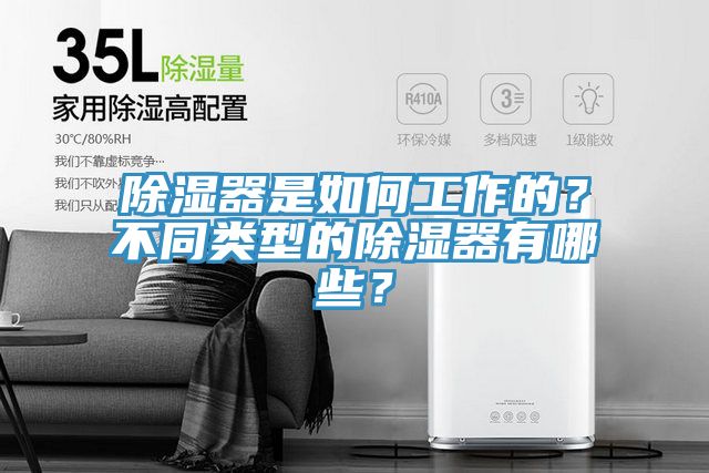 除濕器是如何工作的？不同類型的除濕器有哪些？