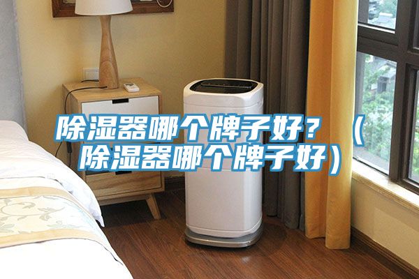 除濕器哪個(gè)牌子好？（除濕器哪個(gè)牌子好）