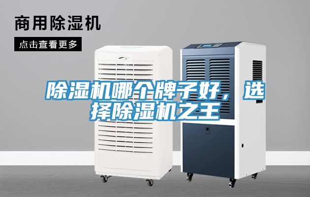 除濕機(jī)哪個(gè)牌子好，選擇除濕機(jī)之王