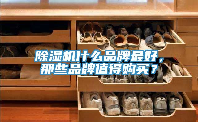 除濕機什么品牌最好，那些品牌值得購買？
