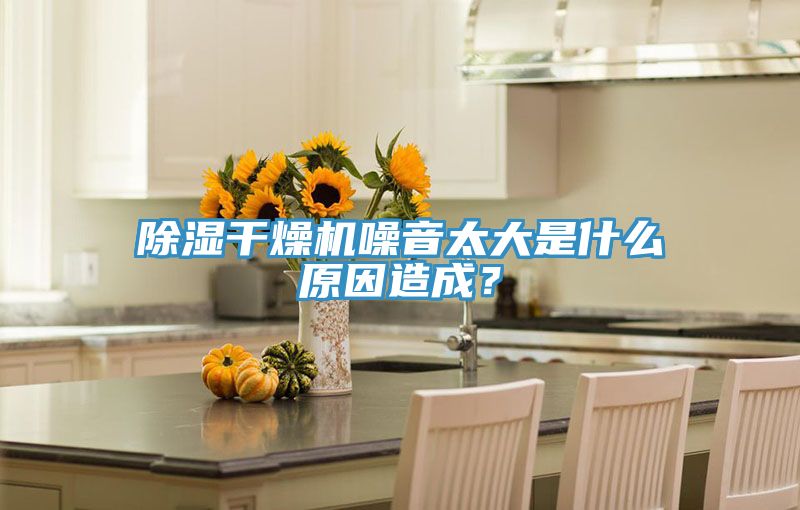 除濕干燥機噪音太大是什么原因造成？
