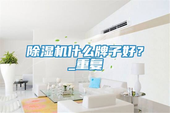 除濕機什么牌子好？_重復