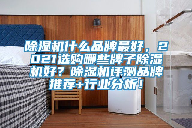 除濕機什么品牌最好，2021選購哪些牌子除濕機好？除濕機評測品牌推薦+行業(yè)分析！