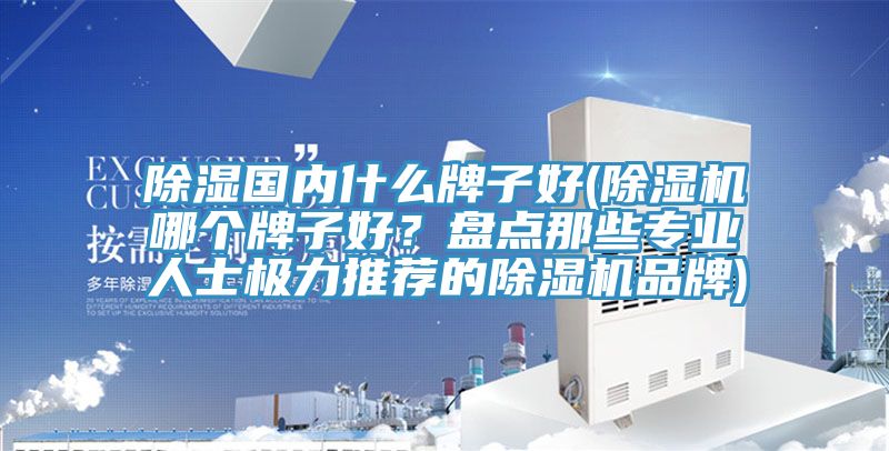 除濕國(guó)內(nèi)什么牌子好(除濕機(jī)哪個(gè)牌子好？盤(pán)點(diǎn)那些專(zhuān)業(yè)人士極力推薦的除濕機(jī)品牌)