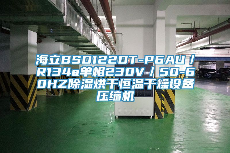 海立BSD122DT-P6AU／R134a單相230V／50-60HZ除濕烘干恒溫干燥設(shè)備壓縮機(jī)