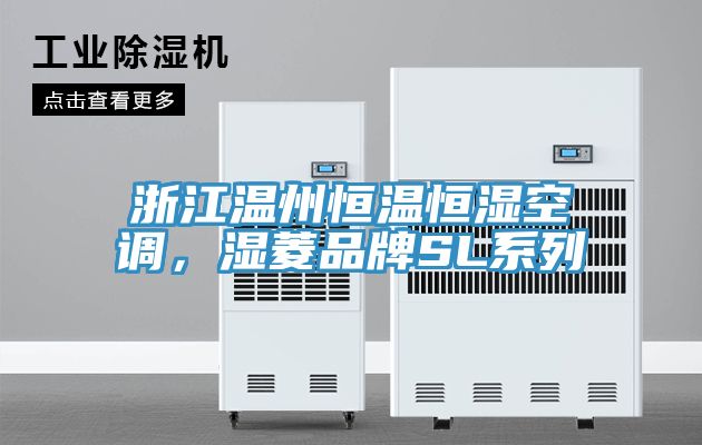 浙江溫州恒溫恒濕空調(diào)，濕菱品牌SL系列