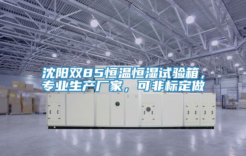 沈陽雙85恒溫恒濕試驗箱，專業(yè)生產(chǎn)廠家，可非標(biāo)定做