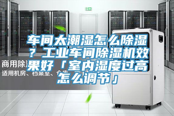 車間太潮濕怎么除濕？工業(yè)車間除濕機效果好「室內濕度過高怎么調節(jié)」