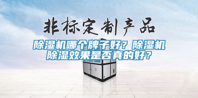除濕機(jī)哪個(gè)牌子好？除濕機(jī)除濕效果是否真的好？