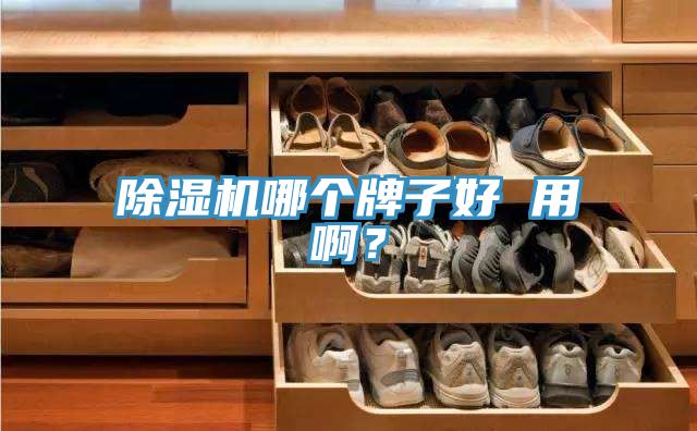除濕機(jī)哪個(gè)牌子好 用啊？