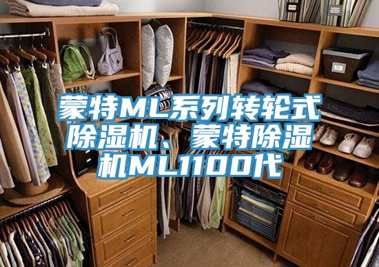 蒙特ML系列轉(zhuǎn)輪式除濕機(jī)、蒙特除濕機(jī)ML1100代