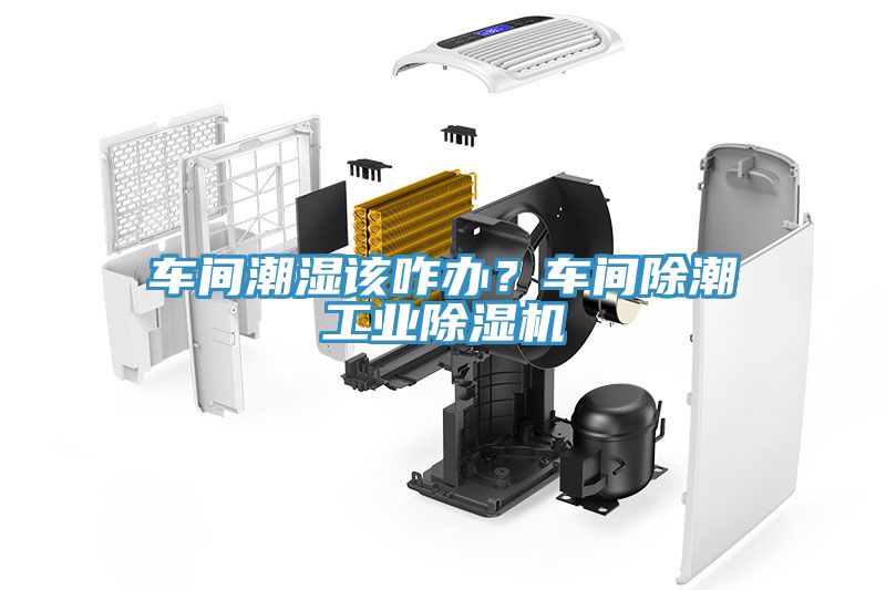 車間潮濕該咋辦？車間除潮工業(yè)除濕機