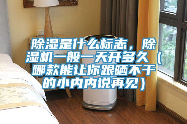 除濕是什么標(biāo)志，除濕機(jī)一般一天開多久（哪款能讓你跟曬不干的小內(nèi)內(nèi)說再見）