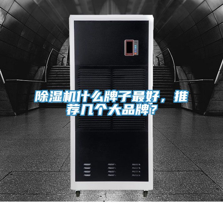 除濕機什么牌子最好，推薦幾個大品牌？
