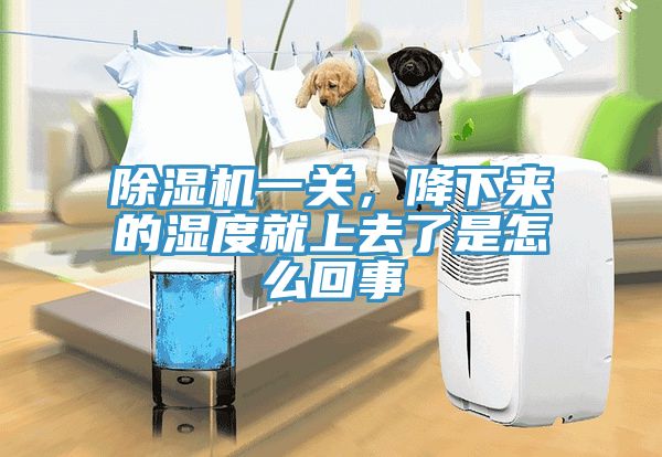 除濕機(jī)一關(guān)，降下來的濕度就上去了是怎么回事