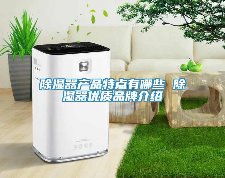 除濕器產(chǎn)品特點有哪些 除濕器優(yōu)質品牌介紹