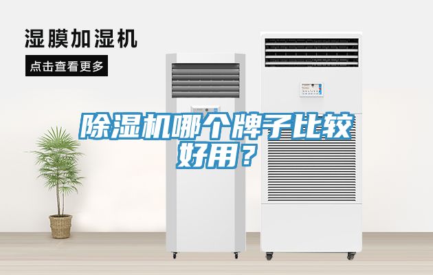 除濕機(jī)哪個(gè)牌子比較好用？