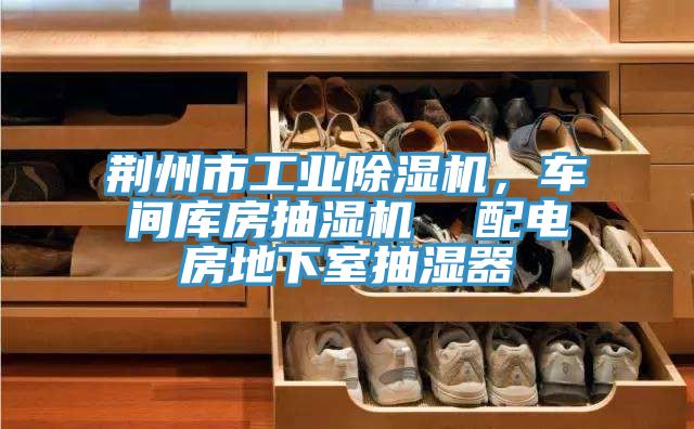 荊州市工業(yè)除濕機(jī)，車間庫房抽濕機(jī)  配電房地下室抽濕器