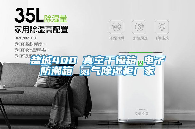 鹽城400℃真空干燥箱 電子防潮箱 氮?dú)獬凉窆駨S(chǎng)家