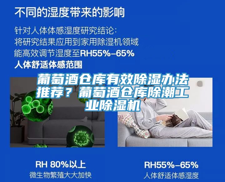 葡萄酒倉庫有效除濕辦法推薦？葡萄酒倉庫除潮工業(yè)除濕機(jī)