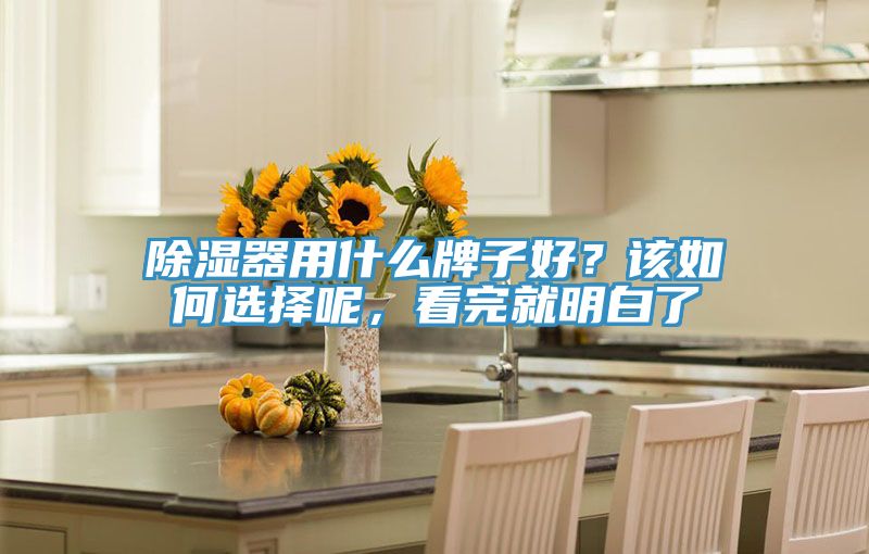 除濕器用什么牌子好？該如何選擇呢，看完就明白了