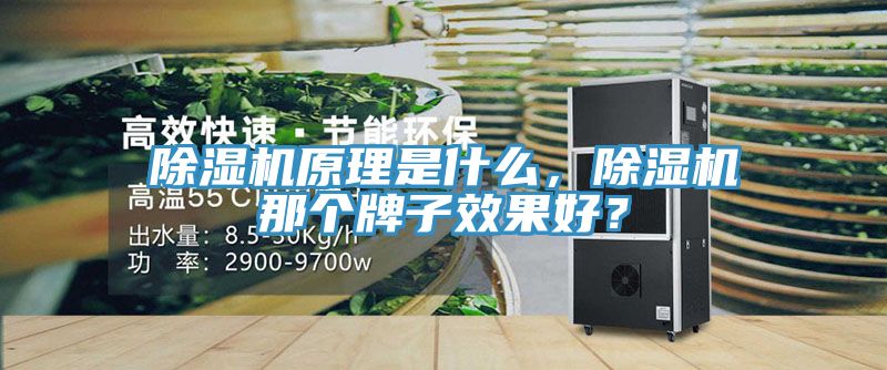 除濕機(jī)原理是什么，除濕機(jī)那個牌子效果好？