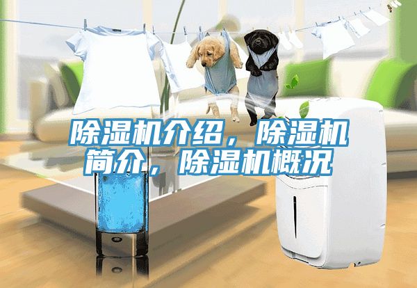 除濕機介紹，除濕機簡介，除濕機概況