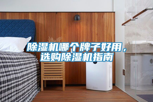 除濕機(jī)哪個(gè)牌子好用，選購(gòu)除濕機(jī)指南