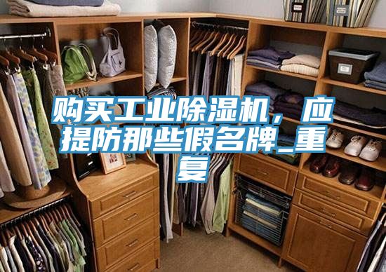 購(gòu)買(mǎi)工業(yè)除濕機(jī)，應(yīng)提防那些假名牌_重復(fù)