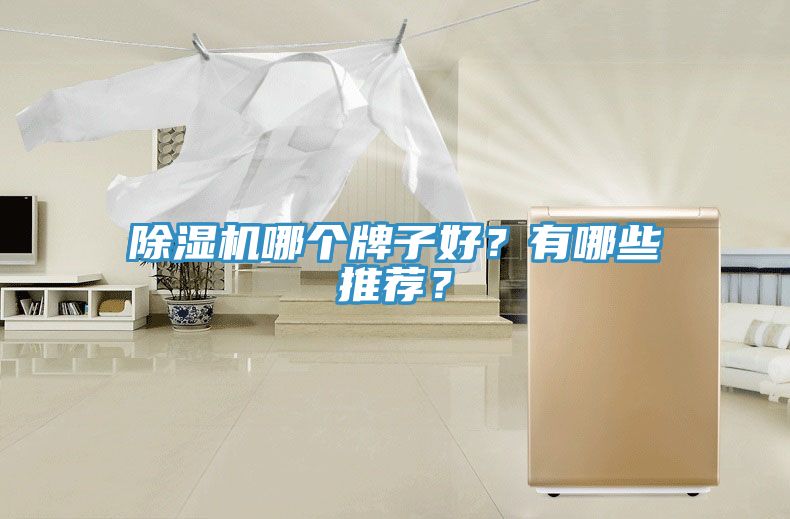 除濕機(jī)哪個(gè)牌子好？有哪些推薦？