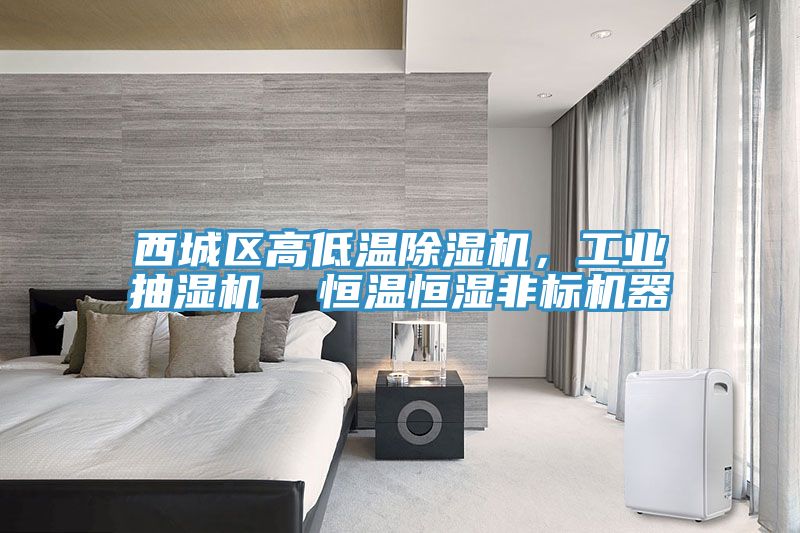 西城區(qū)高低溫除濕機(jī)，工業(yè)抽濕機(jī)  恒溫恒濕非標(biāo)機(jī)器