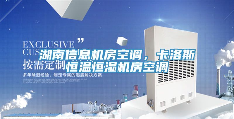 湖南信息機房空調，卡洛斯恒溫恒濕機房空調
