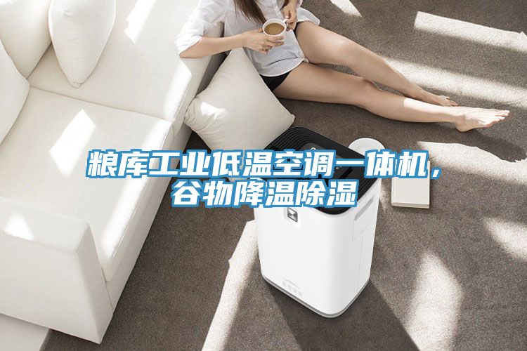 糧庫(kù)工業(yè)低溫空調(diào)一體機(jī)，谷物降溫除濕